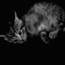 Girlsaw ‧₊˚♪ 𝄞₊˚⊹ wlw