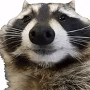 Tanuki [Seven knight rebirth]