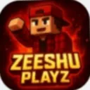 Zeeshu_Playz