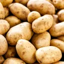 Potato
