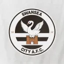 VFL Swansea