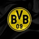 VFL Dortmund