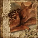 🦌۶ৎˎˊ˗ִֶָ𓂃 ࣪˖ ִֶ  small   fawns