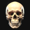 𝐓𝐇𝐄 𝐄𝐕𝐀𝐗𝐄𝐓𝐓𝐘 Discord server icon
