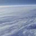 Конура Ультры
