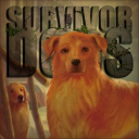 Survivor Dogs: Community Discord Discord server icon