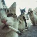 Underground Mods