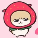 코타츠  ᶻ 𝘇 𐰁