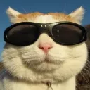 KAiRO Giveaways Discord server icon