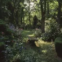 entry by entry