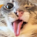 Gamers Paradise Discord server icon