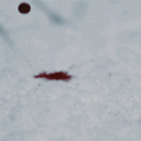 ℂ𝕠𝕝𝕕 𝔹𝕝𝕠𝕠𝕕 | 𝕂𝔾ℝℙ Discord server icon