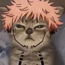 Pluh