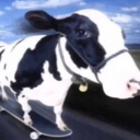 Aftercare Discord server icon