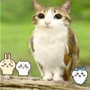 meowl! Discord server icon
