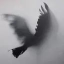 𝐁𝐑𝐎𝐓𝐇𝐄𝐑𝐒