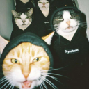 LARRY KA BASEMENT Discord server icon