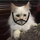 حقك راجع يلولي - تحت التطوير - Discord server icon
