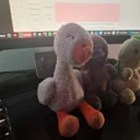The Duck Pack