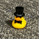 Duck’s super secret duck place Discord server icon