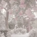 🌷  ︴/𝘱𝘦𝘵𝘢𝘭𝘴