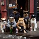FriendX society