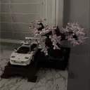 RENAISSANCE 4.2