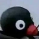 Penguin PM Portal