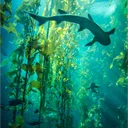 ;; fin-tastic artists  !