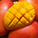 🥭Serwer Mangowy🥭