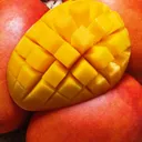 🥭Serwer Mangowy🥭