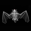 Vamp’s Graveyard Discord server icon
