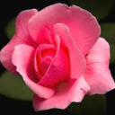 Empathize Discord server icon