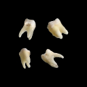 .  rotten  . Discord server icon