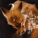 ✩₊˚.⋆☾the foxhole☽⋆⁺₊✧