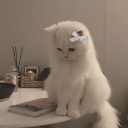 ╰☆☆ 𝘊𝘰𝘢𝘴𝘵𝘢𝘭 𝘝𝘪𝘣𝘦𝘴 ☆☆╮ Discord server icon