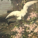 . ݁˖ 𝘔𝘪𝘳𝘬𝘸𝘰𝘰𝘥 𝘏𝘰𝘭𝘭𝘰𝘸 ˚₊ 🕯´ Discord server icon