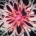 Nebula Server ☄₊˚⊹☆