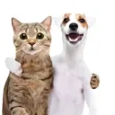 𝕬𝖓𝖈𝖎𝖊𝖓𝖙'𝖘 𝕾𝖆𝖓𝖈𝖙𝖚𝖆𝖗𝖞