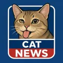 Cat's News