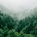 Discovery icon for Xeno Executor Discord server