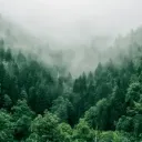 Xeno Executor Discord Server Icon