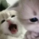 𝗟𝘂𝗰𝗮