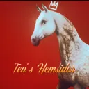 Tea's Hemsidor