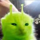 Zib Zib
