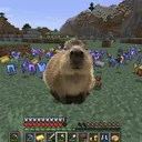 JBSazuki Capybara Club
