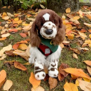 Essa haven !! Discord server icon