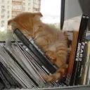Cozy corner