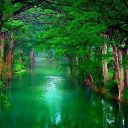 GreenNatures | Boxpvp,etc all