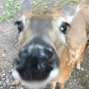 Prairie Discord server icon